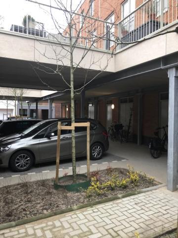 Benb Op De Trans, Arnhem Op Zijn Best! Eksteriør billede